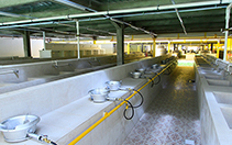 Cooking Facilities